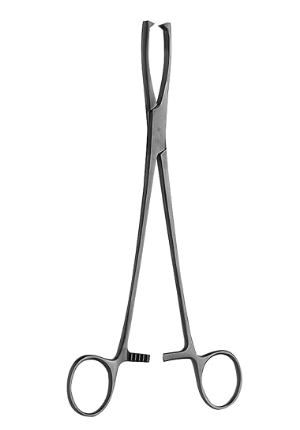 Pinza De Disección. Pinza Jacob recta con dientes 2 x 2 longitud 21 cm.